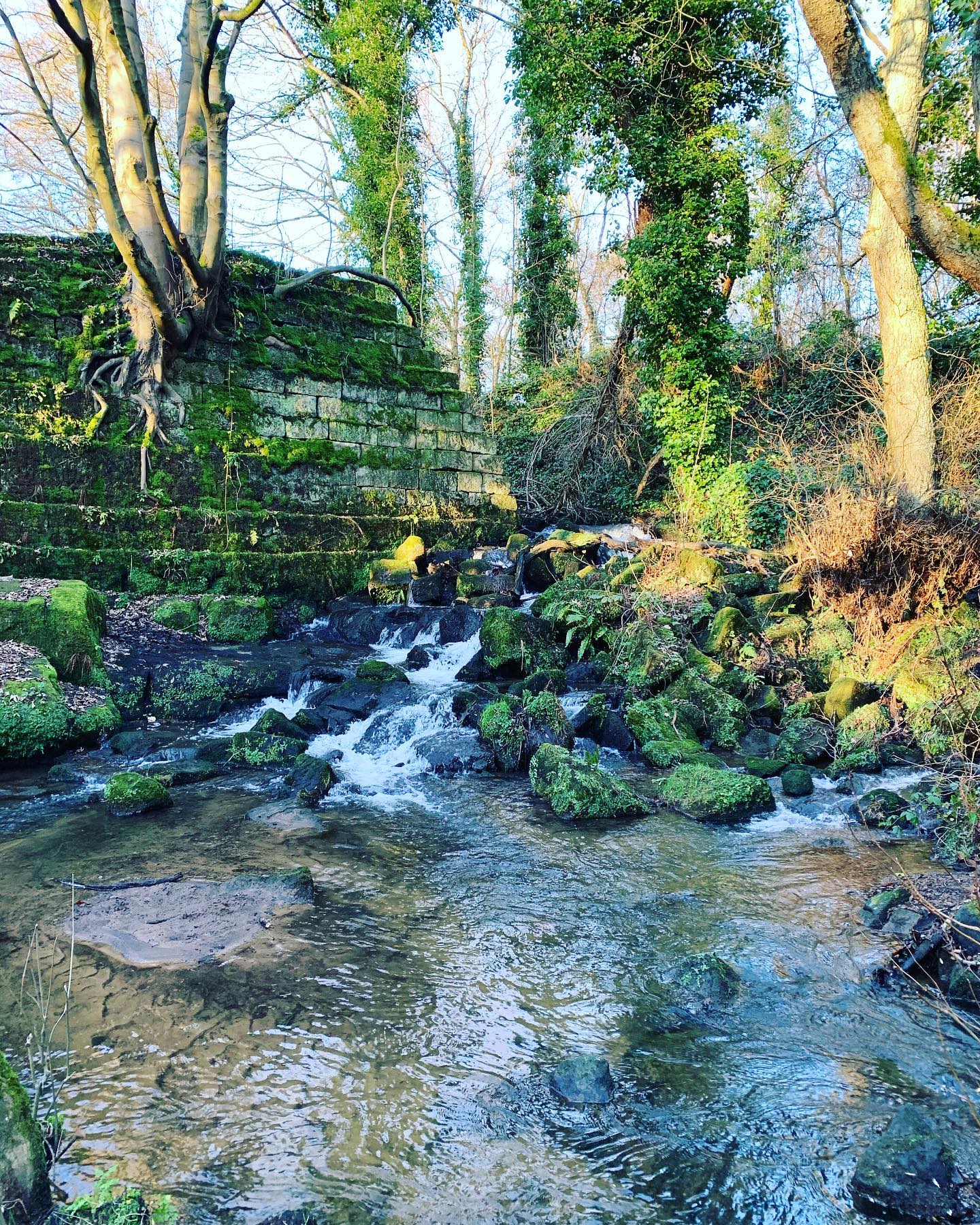 A quite spot at Lumsdale Waterfalls up near Matlock 🌳💦🌳
.
.
.
#wildernessdevelopment #expeditions #lumsdalewaterfalls #lumsdalevalley #matlock #lumsdalewatermill #waterfall #waterfallsofinstagram #hikingadventures #ukhikingofficial #ukscenery #hiking #hikersuk #guidedwalks #walkinguk #mountainsfellsandhikes #mapmyhike #roamtheuk #myweekendhike #peakdistrict #ig_theundiscovered #igersderbyshire #outdoorpursuits #outdooradventures #outdoorhikingculture #outdooractivities #nationalparksuk #uk_0utdoors #ukhiddengems #getoutside